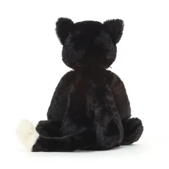 Bashful Black Kitten