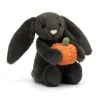 Bashful Pumpkin Bunny