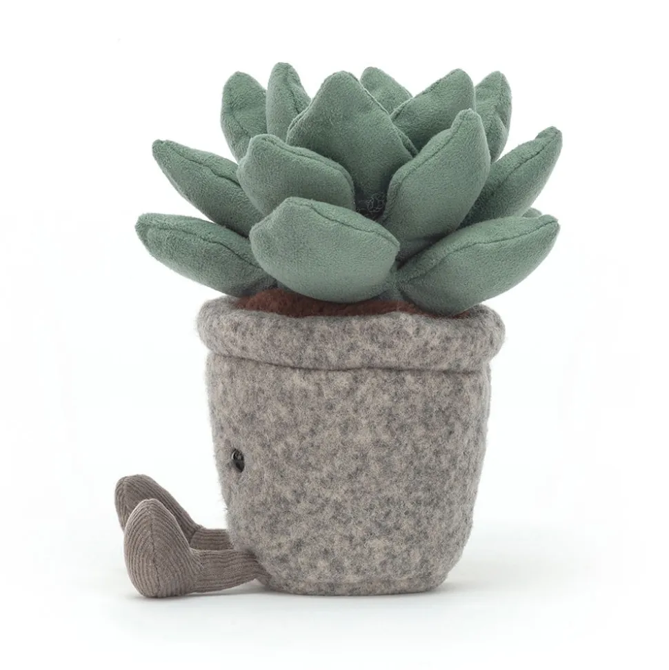 Silly Succulent Azulita